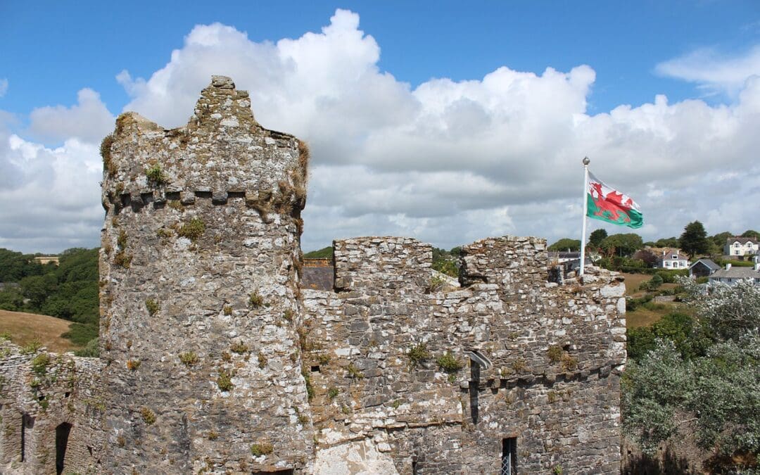 It’s St David’s Day!