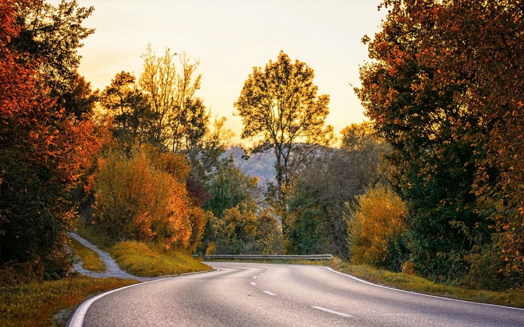 Planning Your Perfect Autumn Getaway: Why a Chauffeur Service is Essential