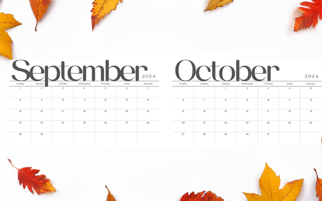 Book Your Chauffeur Service and Hospitality Packages in September and October