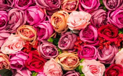 Valentine’s Day Getaways: Romantic East Yorkshire Destinations with Premier Executive Chauffeur Services