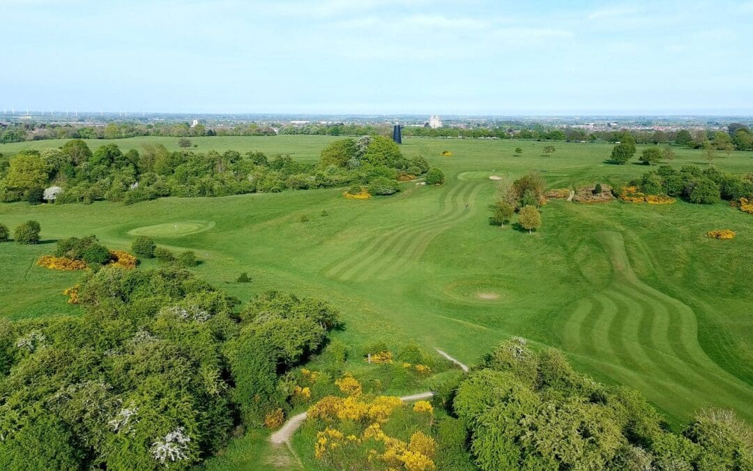 Planning Your 2025 Corporate Golf Day? Choose Premier Executive Chauffeur Services for Seamless Travel