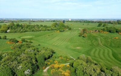 Planning Your 2025 Corporate Golf Day? Choose Premier Executive Chauffeur Services for Seamless Travel