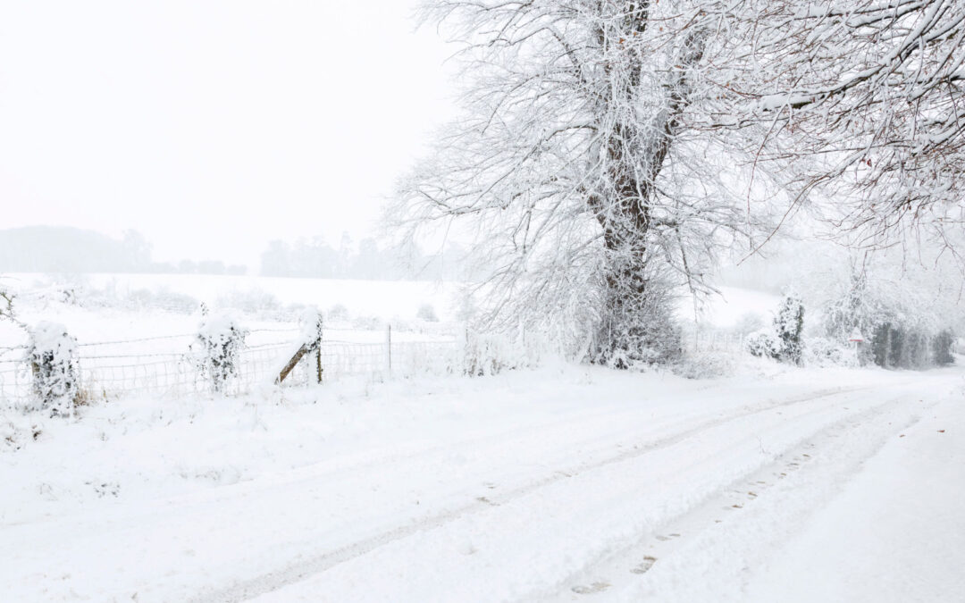 Seasonal Guide: Winter Chauffeur Travel in Yorkshire — Weather, Preparedness and Comfort
