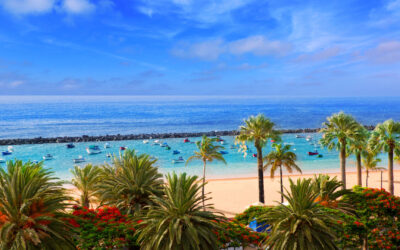 Winter Sun? Start Your Holiday with a Chauffeur Service