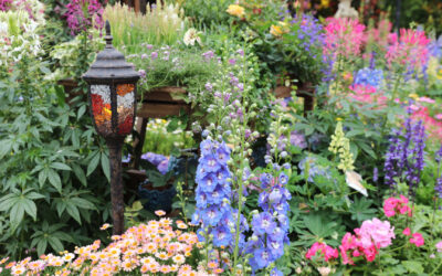 Events to Look Forward to in 2026: The RHS Chelsea Flower Show